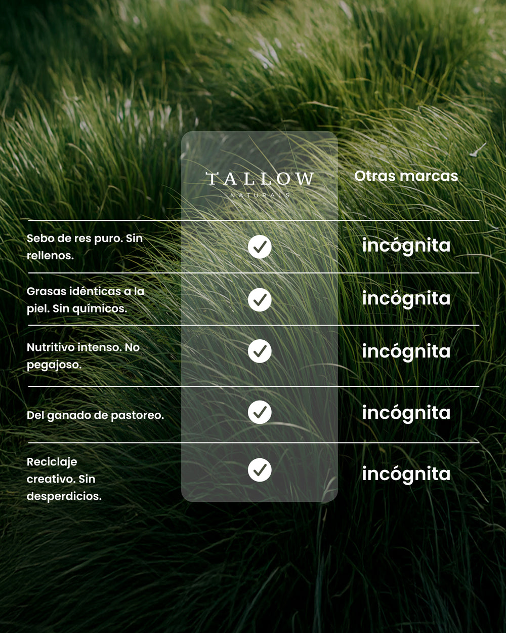 Everyday Moisturizer