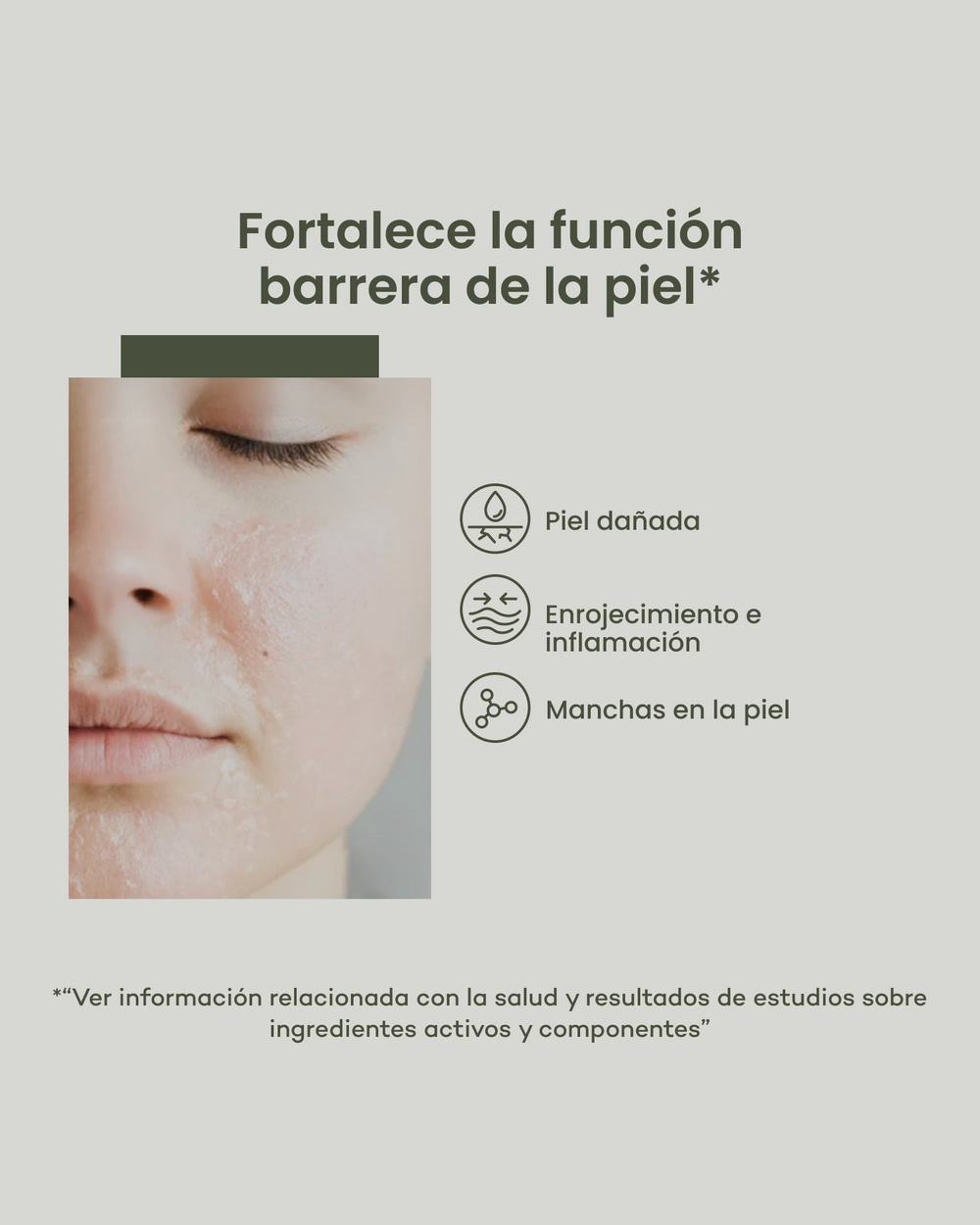 Everyday Moisturizer