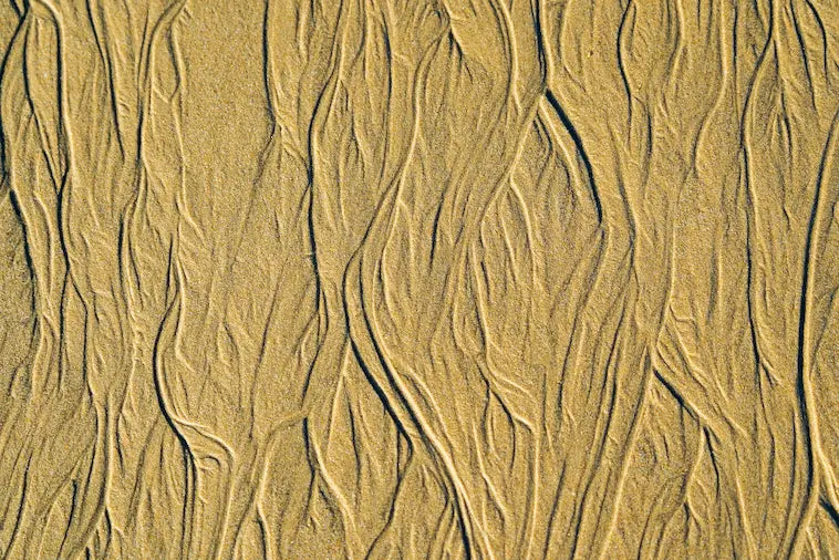 Bakuchiol, Peptide oder Hautlipide? Natürliche Anti-Aging-Wirkstoffe im Vergleich