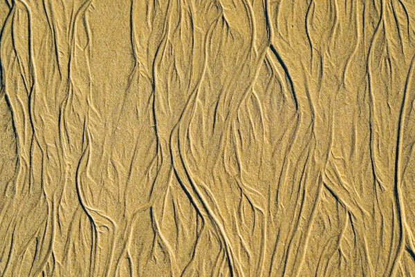 Bakuchiol, Peptide oder Hautlipide? Natürliche Anti-Aging-Wirkstoffe im Vergleich