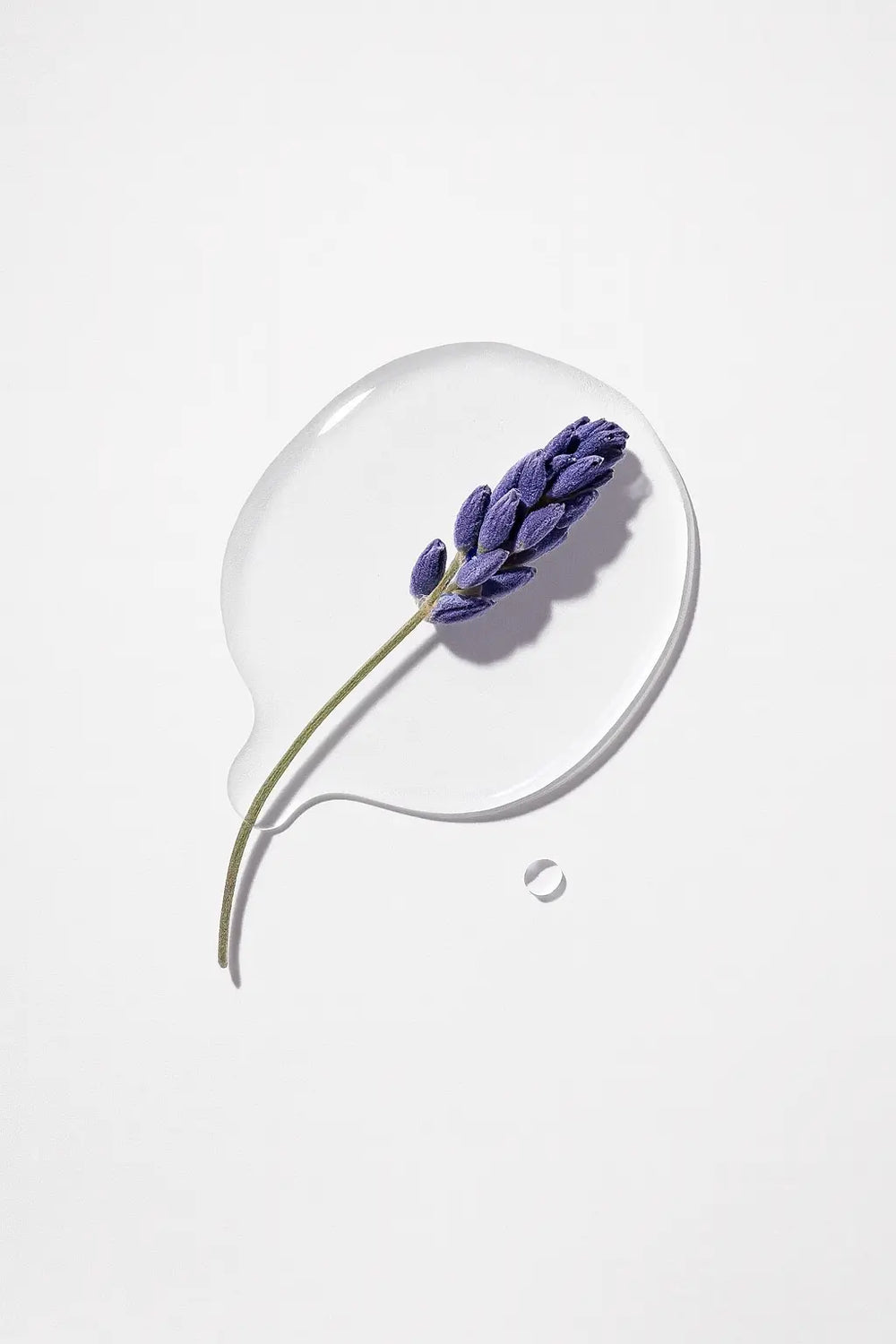 Lavendelöl im Tallow Balm: Wie ätherisches Öl Anti-Aging und Aromatherapie verbindet