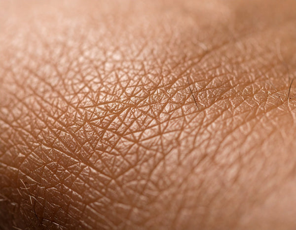 Tallow Balm in der Lebensmitte: Reife Haut, Wechseljahre und nachlassende Lipide