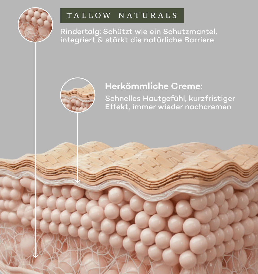 Everyday Moisturizer