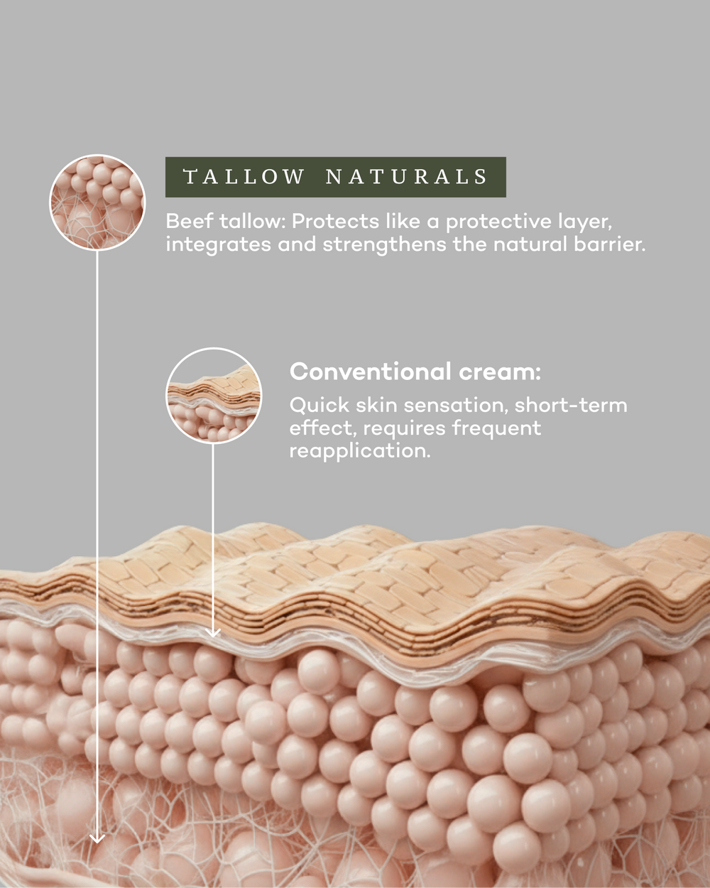 Everyday Moisturizer