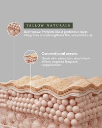 Everyday Moisturizer