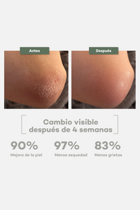 Everyday Body Butter