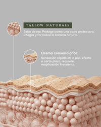 Everyday Moisturizer