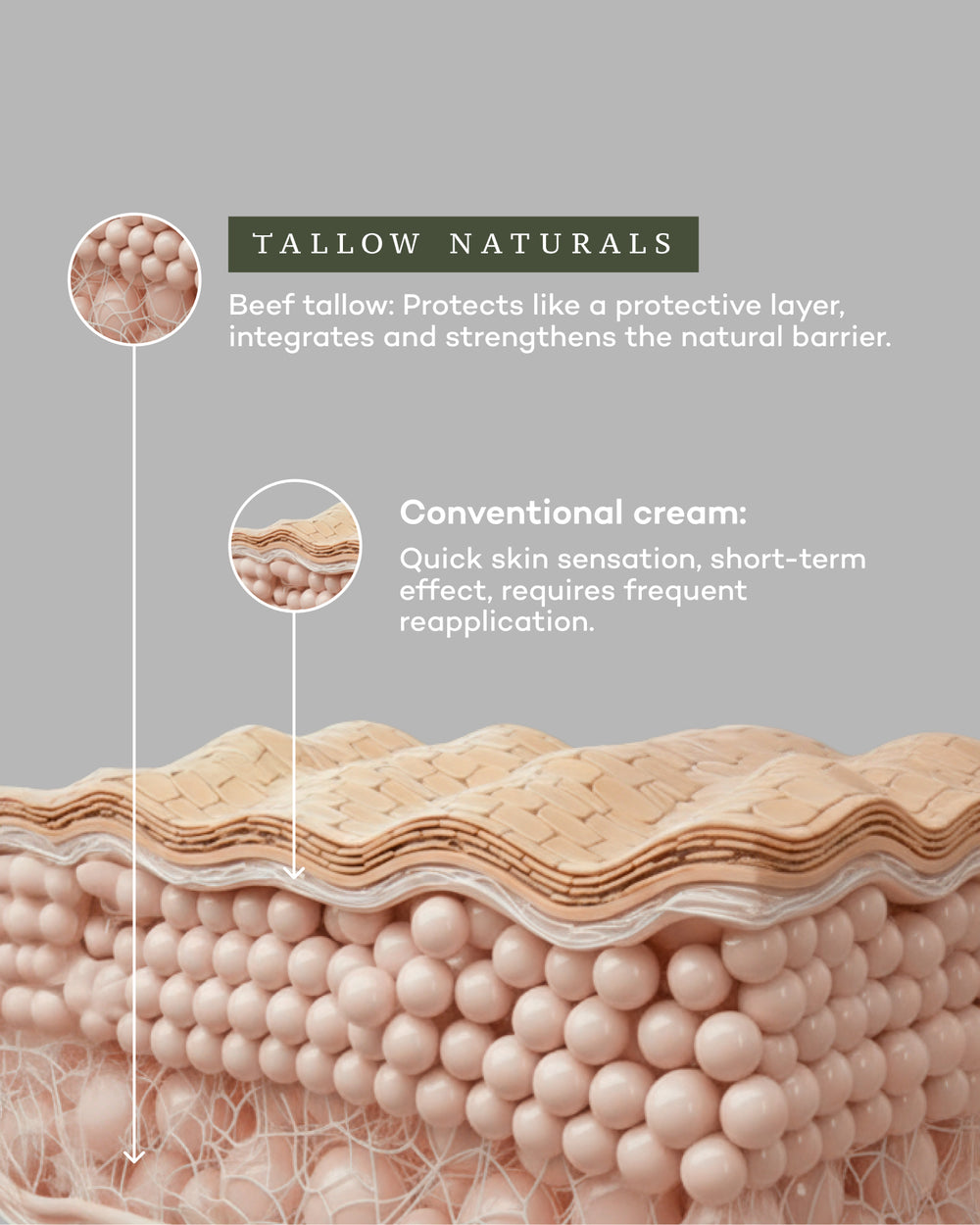 Everyday Moisturizer