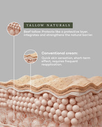 Everyday Moisturizer