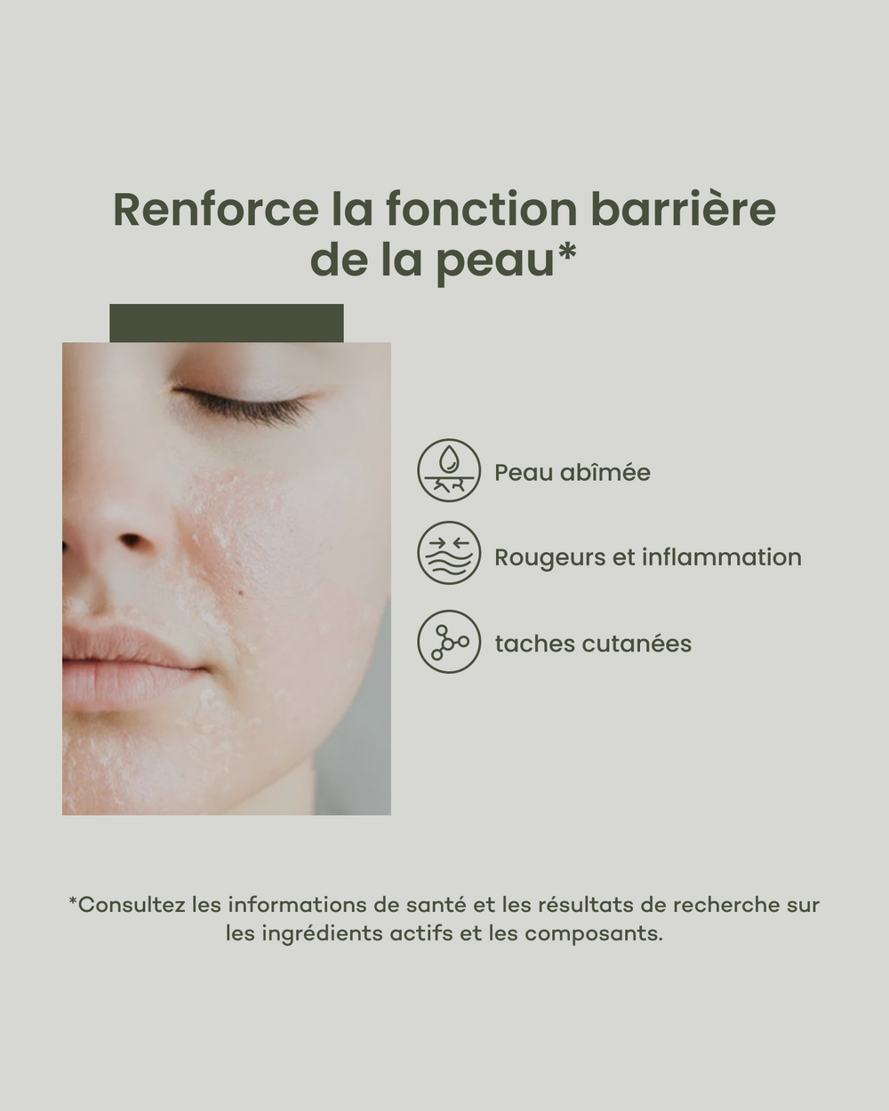 Everyday Moisturizer