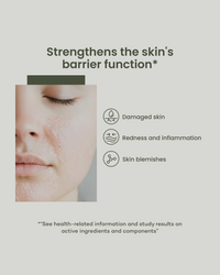 Everyday Moisturizer