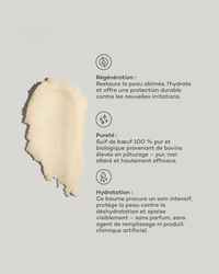 Everyday Moisturizer