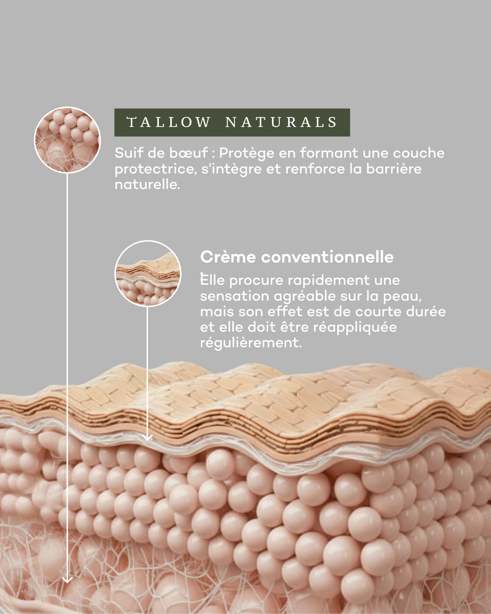 Everyday Moisturizer