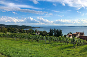 Bodensee Qualität