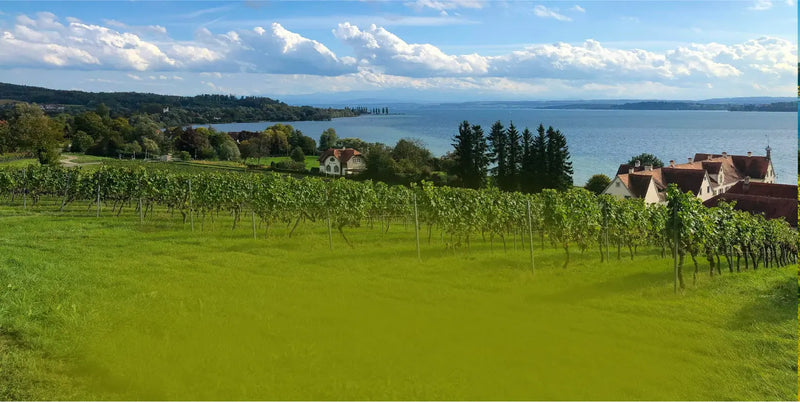 Premium Qualität BIO Rindertalg vom Bodensee